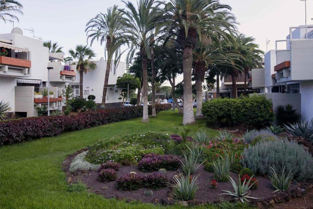 Tenerife Primavera Arona  Zewnętrze zdjęcie